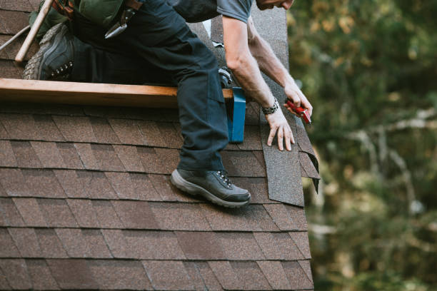 Best Asphalt Shingle Roofing  in Avon Lake, OH